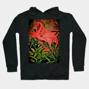 FLAMINGO,,,House of Harlequin Hoodie